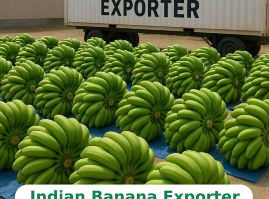 Taste the Freshness, Trust the Source – Leading Indian Banana Exporter