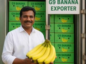Taste the Purity, Trust the Quality – Indian G9 Banana Exporter