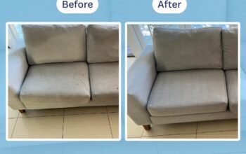 Premium Upholstery Cleaning Brisbane and Carpet Steam Cleaning Services