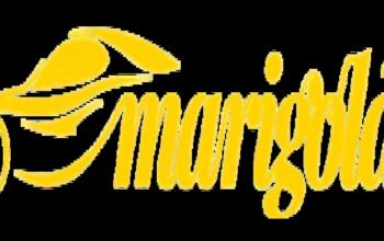 Marigold Services Non-Fault accident claims Management