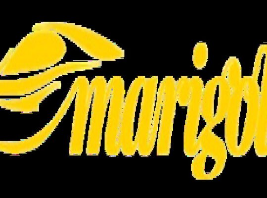 Marigold Services Non-Fault accident claims Management