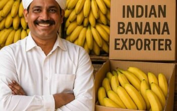 Trusted Indian Banana Exporter – Supplying Fresh & Premium Quality Worldwide