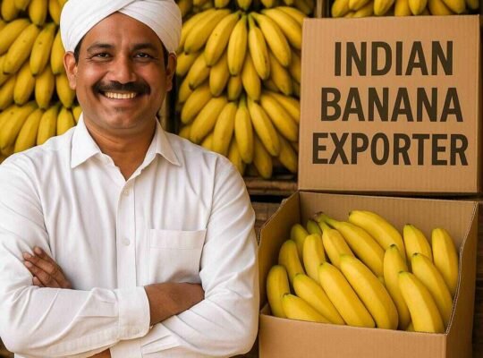 Trusted Indian Banana Exporter – Supplying Fresh & Premium Quality Worldwide