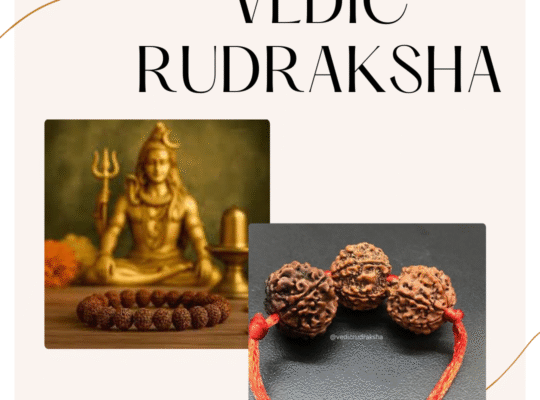 The Ultimate Guide to 11 Mukhi Rudraksha Benefits in Haridwar & How to Buy Authentic Beads Online