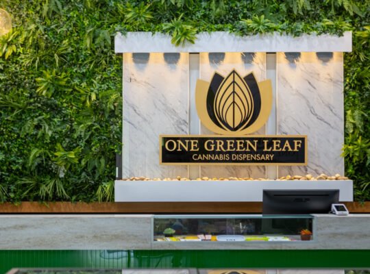 Affordable Ways to See a Doctor Without Insurance