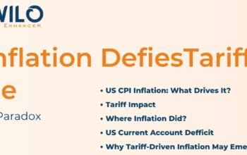 Exclusive Portfolio Management Services in India Tailored for HNIs