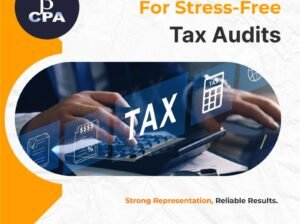 Professional Tax Audit Representation for Easy and Stress-Free Compliance