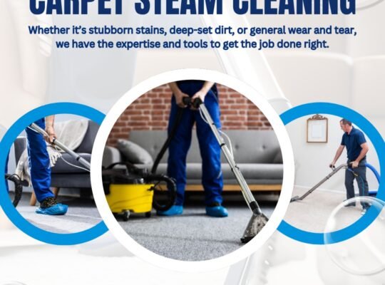 Deluxe Cleaning Group: Upholstery Cleaning Brisbane with Carpet Steam Cleaning