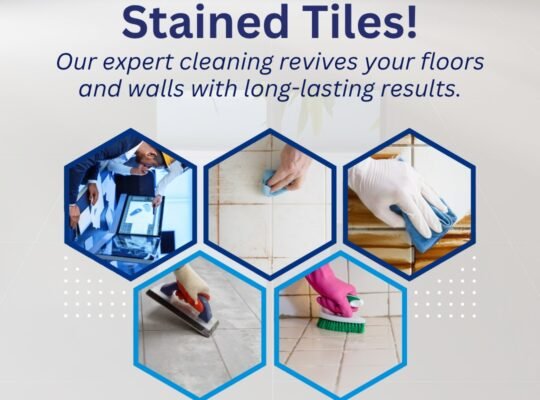 Deluxe Cleaning Group: Upholstery Cleaning Brisbane with Carpet Steam Cleaning