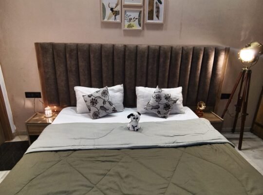 2 Bhk Serviced Apartment in C.R Park