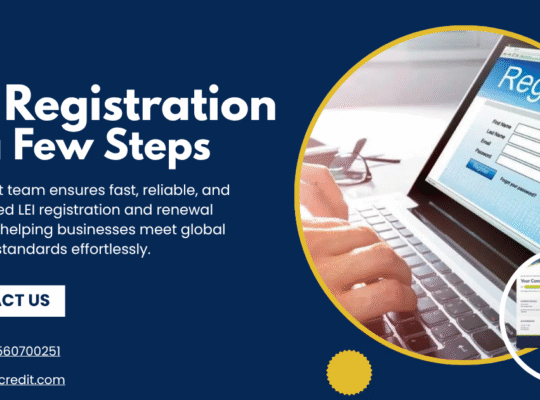 Quick & Easy LEI Register Process for Your Business | MNS Group