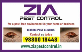 Zia Pest Control Services | Bed Bugs Control | Say Goodbye to Pests! | 233