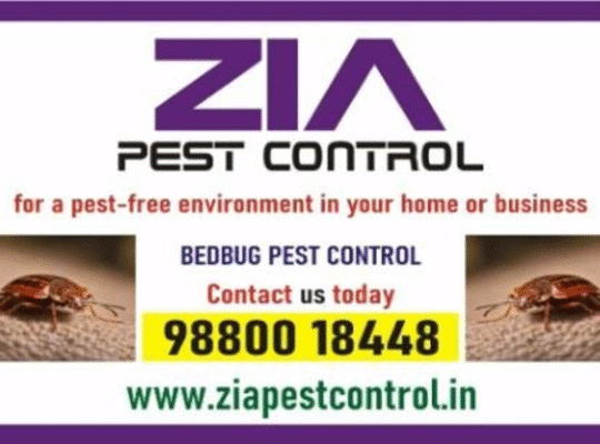 Zia Pest Control Services | Bed Bugs Control | Say Goodbye to Pests! | 233