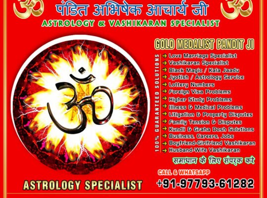 Indian Vashikaran Expert