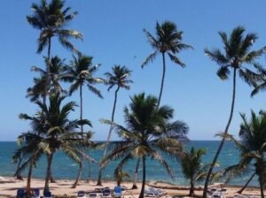 Mi Propiedad En El Caribbean!