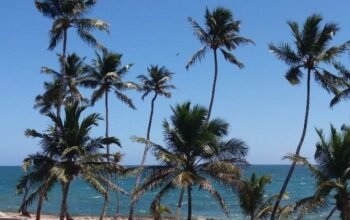 Mi Propiedad En El Caribbean!