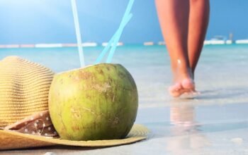 Ya Tienes Tu Ticket Para Viajar A Republica Dominicana?