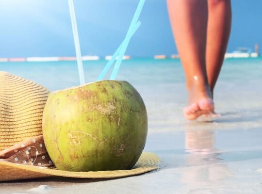 Ya Tienes Tu Ticket Para Viajar A Republica Dominicana?