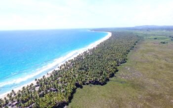 Terrenos Lineales A La Playa En Venta, Todo El Pais!