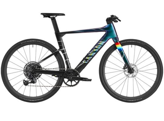2025 Canyon Roadlite:ONfly CF MACH874 Road Bike (INDORACYCLES)