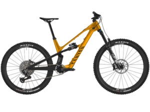2025 Canyon Spectral:ONfly CF CLLCTV Mountain Bike (INDORACYCLES)