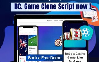 Experience Powerful Casino Game Development with Our BC.Game Clone Solutions