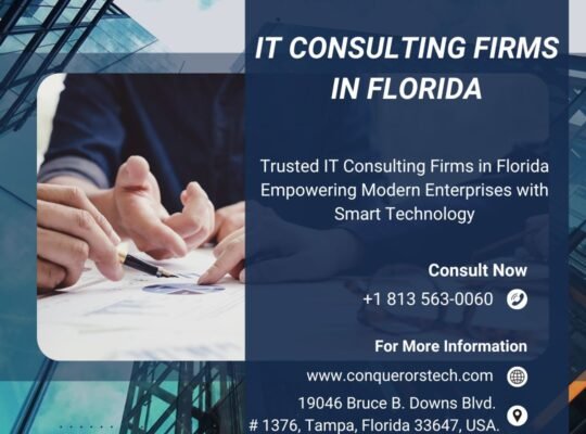 IT Consulting Firms in Florida | Conquerors Tech