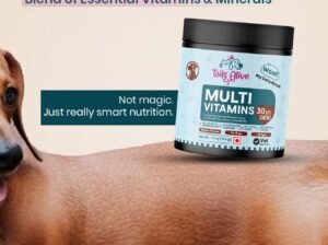Power Up Your Pup – 15-in-1 Multivitamin Soft Chews