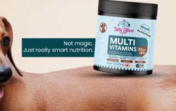 Power Up Your Pup – 15-in-1 Multivitamin Soft Chews
