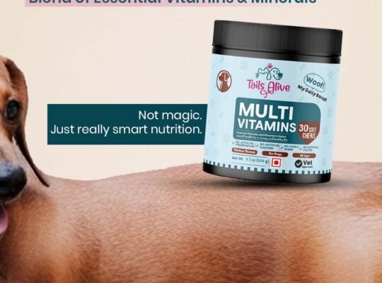 Power Up Your Pup – 15-in-1 Multivitamin Soft Chews