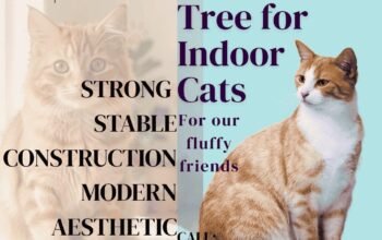 Durable Premium Cat Tower for Apartments