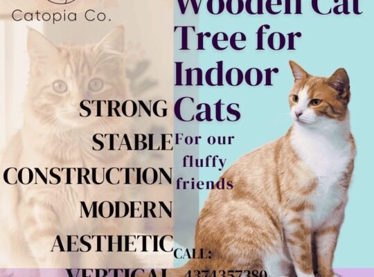 Durable Premium Cat Tower for Apartments