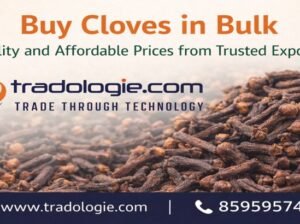 Buy Cloves in Bulk – Quality and Affordable Prices from Trusted Exporters
