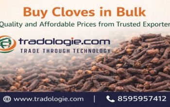 Buy Cloves in Bulk – Quality and Affordable Prices from Trusted Exporters