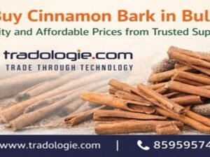 Buy Cinnamon Bark in Bulk – Quality and Affordable Prices from Trusted Suppliers