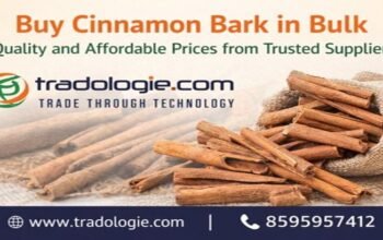 Buy Cinnamon Bark in Bulk – Quality and Affordable Prices from Trusted Suppliers