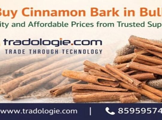 Buy Cinnamon Bark in Bulk – Quality and Affordable Prices from Trusted Suppliers