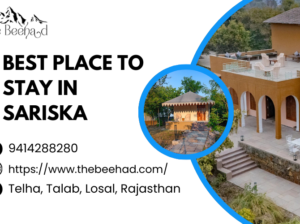Best Luxury Stay for Sariska Travelers – The Beehad Resort