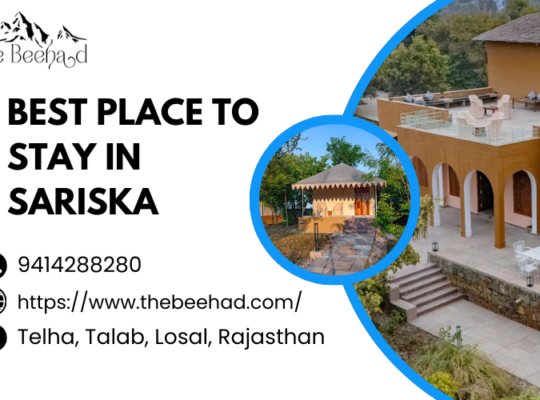 Best Luxury Stay for Sariska Travelers – The Beehad Resort