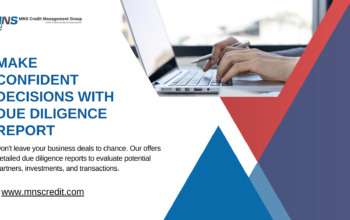 Due Diligence Report – Comprehensive Risk Assessment | MNS