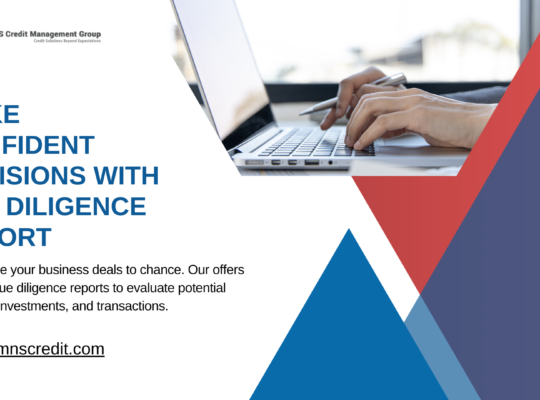 Due Diligence Report – Comprehensive Risk Assessment | MNS