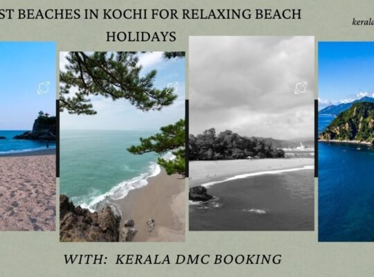 Best Beaches in Kochi to Explore During Your Kerala Vacation