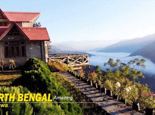 North Bengal Package Tour: Experience the Charm of Eastern Himalayas