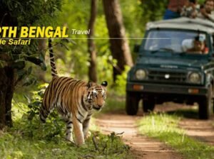 North Bengal Package Tour: Experience the Charm of Eastern Himalayas
