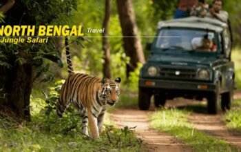 North Bengal Package Tour: Experience the Charm of Eastern Himalayas