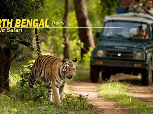 North Bengal Package Tour: Experience the Charm of Eastern Himalayas