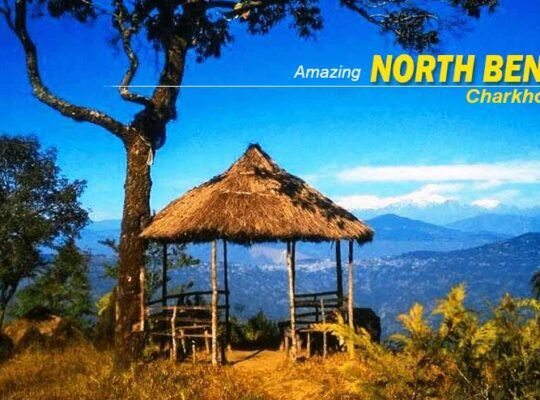 North Bengal Package Tour: Experience the Charm of Eastern Himalayas