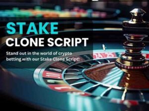 Ready-to-Launch Stake Clone App Development At Low Cost