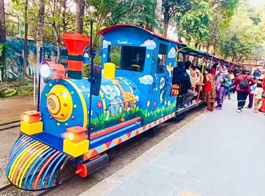 Top Children Park Train Manufacturer in Delhi | Premium Quality Kids Toy Trains for Parks