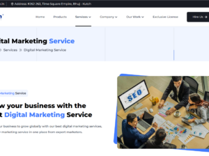 Digital Marketing Service Company Bhuj, India | WRTeam
